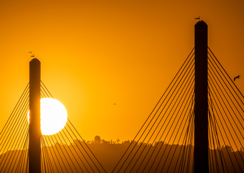 Gallery-Image–Gerald-Desmond-Bridge-aka-Long-Beach-International-Gateway-Bridge6